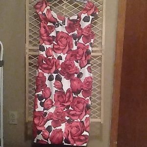 White house black market dress NWT